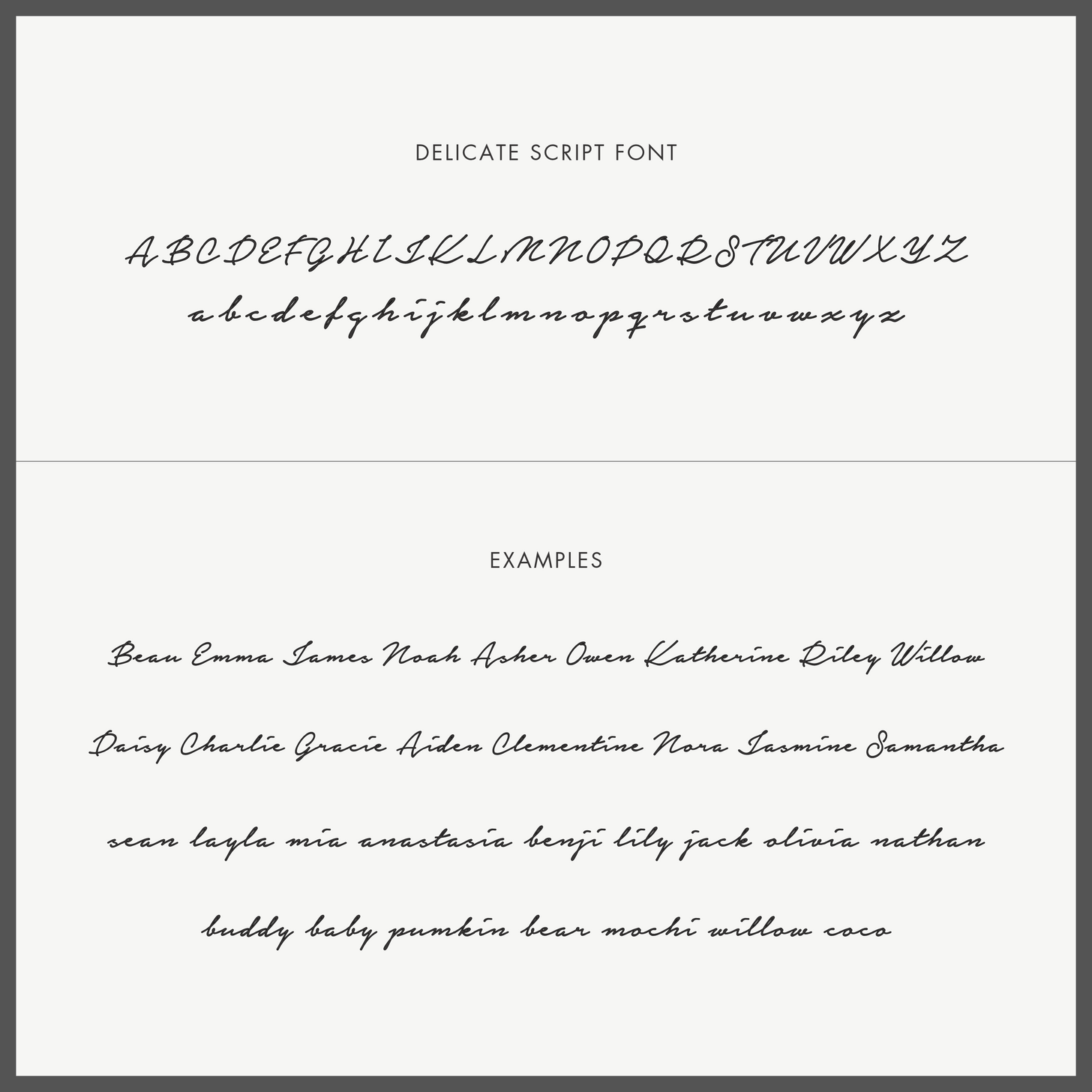 Delicate Script Name Necklace