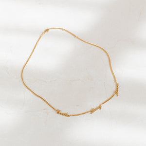 Full shot of Narisa Multiple Name Necklace with curb chain and lobster clasp